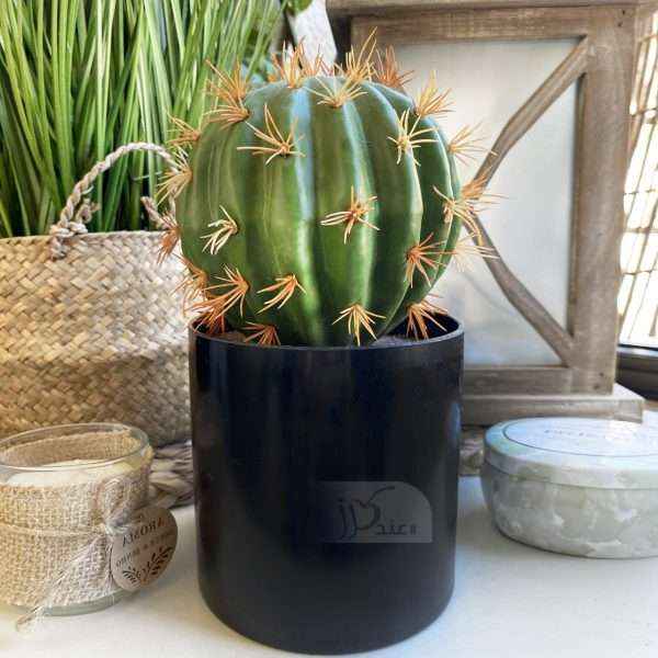 Cactus Decorative Artificial Plants