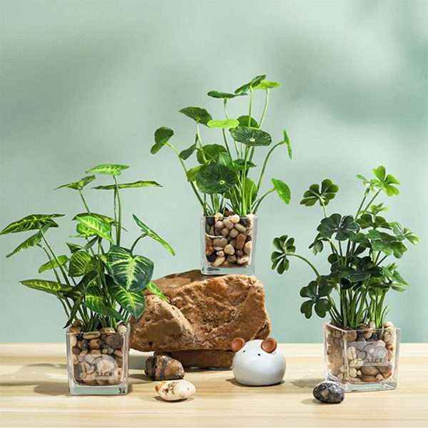 Plant In Glass Vase