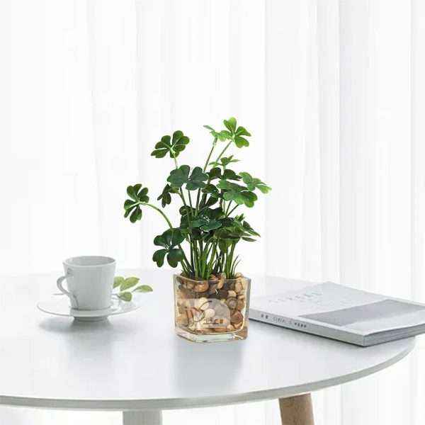 Plant In Glass Vase