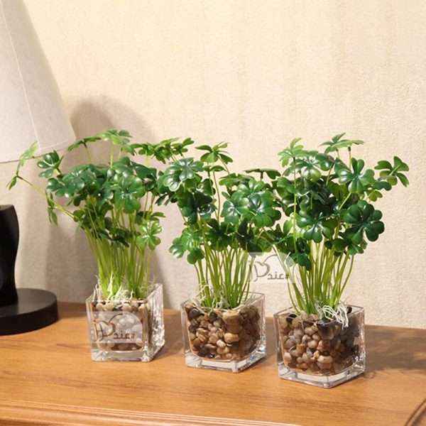 Plant In Glass Vase