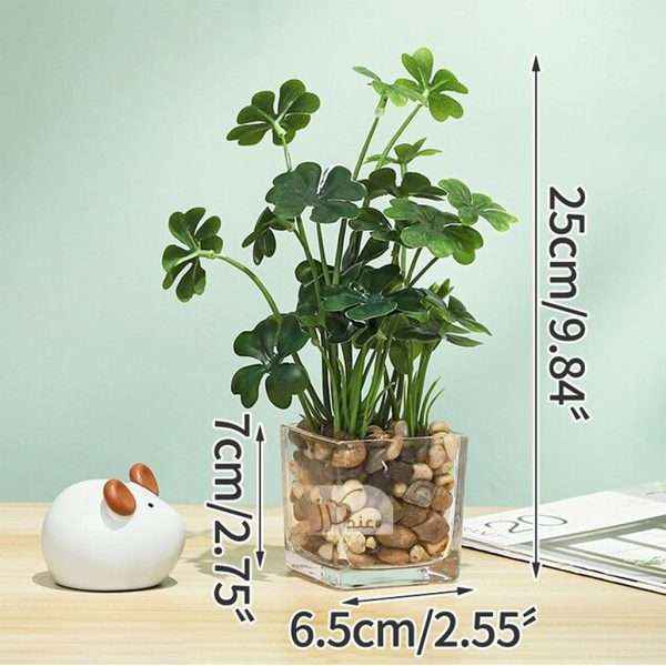 Plant In Glass Vase