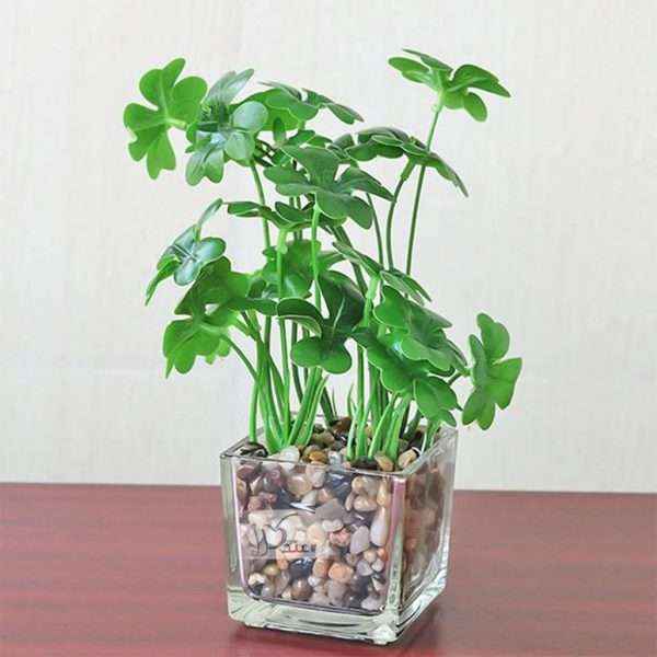 Plant In Glass Vase